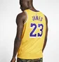 Майка унисекс Nike Lebron James Lakers Icon Edition Nba Swingman Jersey Yellow AA7099-741