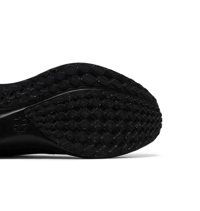 Кроссовки мужские Nike Air Zoom Pegasus 41 Black FD2722-001