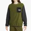 Свитшот мужской Nike M Nsw Spu Tf Polar Flc Crew Green Dq5104-326