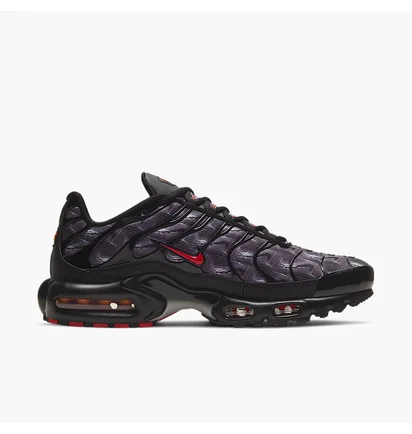 Кросівки чоловічі Nike Air Max Plus Grey/Black DJ0638-001