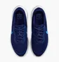 Кроссовки мужские Nike Revolution 7 Blue FB2207-406