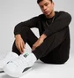 Штаны мужские Puma Ess No. 1 Logo Sweatpants Black 682606-01