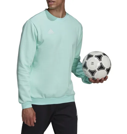 Свитшот мужской Adidas Sweatshirt Ent22 Sw Top Turquoise HC5047