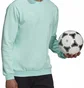 Свитшот мужской Adidas Sweatshirt Ent22 Sw Top Turquoise HC5047