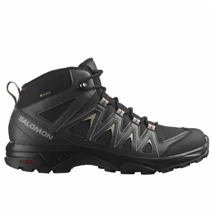 Ботинки мужские Salomon X Braze Mid Gtx Black 471748