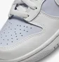 Кроссовки детские Nike Dunk High Summit Pure Platinum Gs White/Grey Db2179-107