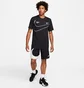 Футболка мужская Nike Dri-Fit Tee Q5 Black FN0843-010