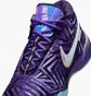 Кроссовки мужские Nike Lbj Nxxt Genisus Qs Violet IB1272-501