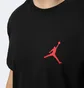Футболка мужская Air Jordan Jumpman Black IR0342-010