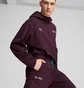Штаны мужские Puma Mapf1 Statement Violet 627304-08