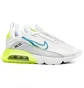 Кросівки чоловічі Nike Air Max 2090 White DJ6898-100
