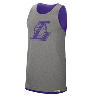 Майка мужская Nike Nba Los Angeles Lakers Standard Issue Reversible Violet CN0716-504