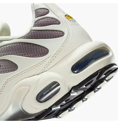 Кросівки чоловічі Nike Air Max Plus Beige DM0032-106