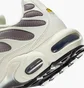 Кросівки чоловічі Nike Air Max Plus Beige DM0032-106