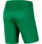Шорты мужские Nike M Nk Df Park Iii Short Nb K Green BV6855-302