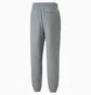 Штаны мужские Puma Classics Grey 532139-03