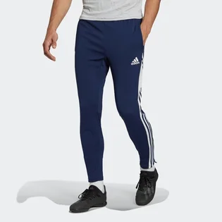 Штаны мужские Adidas Condivo 22 Training Pants Blue HG3706