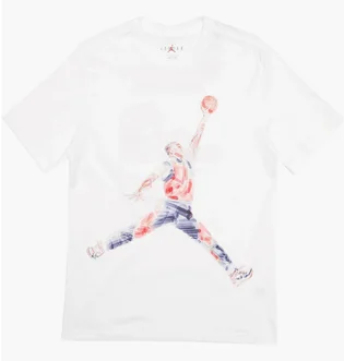Футболка мужская Air Jordan Ss Tee White FN5980-100