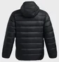 Пуховик чоловічий Under Armour Legend Down Black 1385837-001