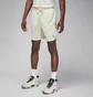 Шорты мужские Air Jordan Sport Dri-Fit White FN5816-113