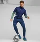Бутсы мужские Puma Future Play Fg/Ag Blue 107377-03