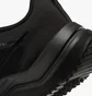 Кросівки жіночі Nike Downshifter 12 Training Shoes Black Dd9294-002