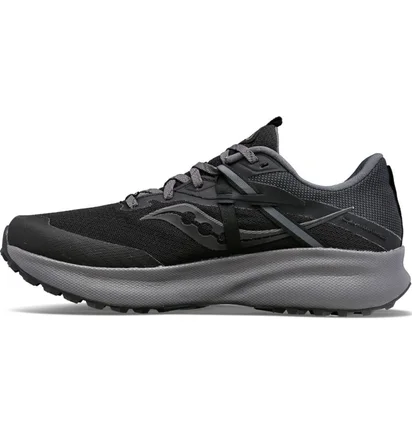 Кроссовки мужские Saucony Ride 15 Tr Gtx Black S20799-10