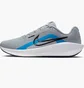 Кросівки чоловічі Nike Downshifter 13 Grey FD6454-015