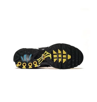 Кроссовки мужские Nike Air Max Plus MenS Shoes Black/Multi HV2526-001