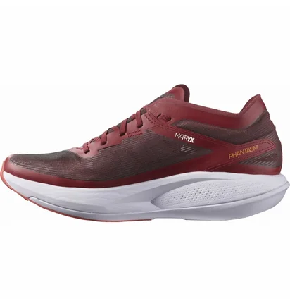 Кросівки чоловічі Salomon Phantasm Running Shoes Bordo L41610300