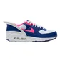 Кроссовки унисекс Nike Air Max 90 Flyease Multicolor CU0814-101