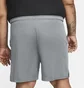Шорти чоловічі Nike Dri-Fit Grey DD1887-068