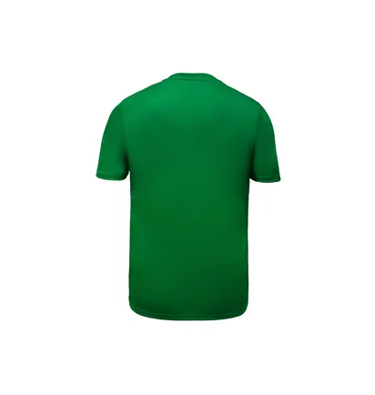 Футболка мужская Nike M Nk Df Park20 Top Ss Green Bv6883-302