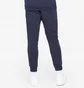 Штаны мужские Adidas Sportswear Essentials Fleece Regular Tapered Joggers Blue HL2231