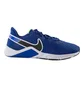 Кроссовки мужские Nike Legend Essential 2 Blue CQ9356-400