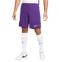 Шорти чоловічі Nike Shorts Dri-Fit Park 3 Violet BV6855-547