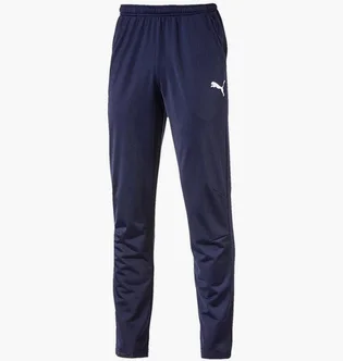 Штани чоловічі Puma Liga Core Training Blue 655770-006