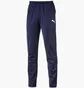 Штани чоловічі Puma Liga Core Training Blue 655770-006