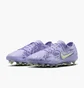 Бутсы мужские Nike Legend 10 Elite Fg Violet HF1592-500