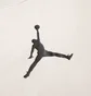 Футболка мужская Air Jordan Jumpman Beige CW5190-203