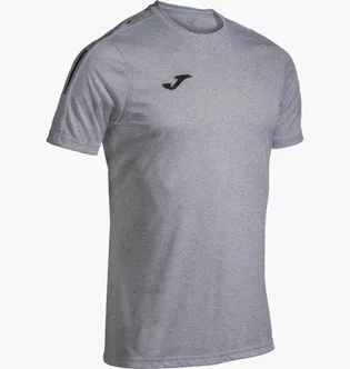 Футболка мужская Joma Olimpiada Grey 103245.251