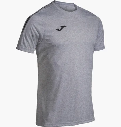 Футболка мужская Joma Olimpiada Grey 103245.251
