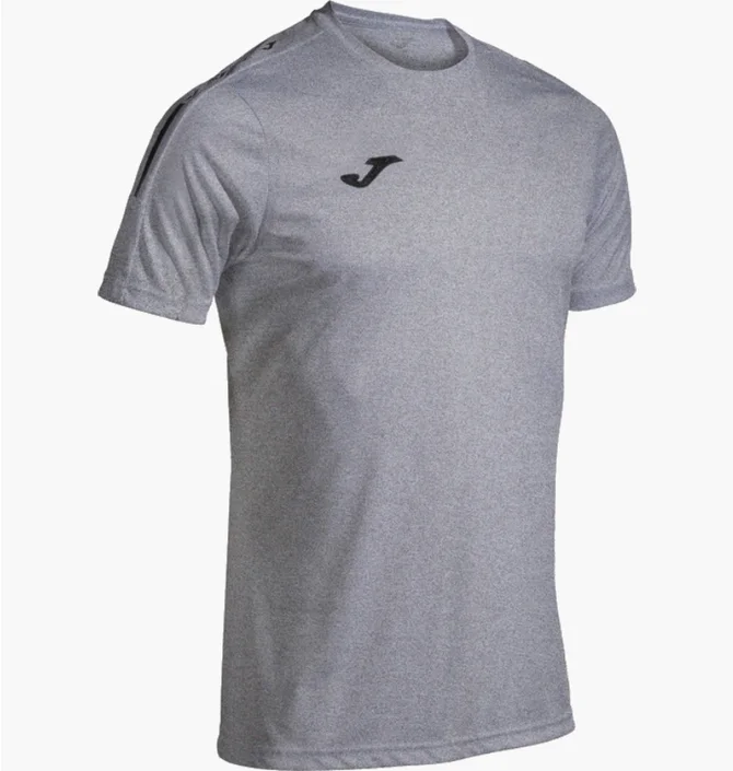 Футболка мужская Joma Olimpiada Grey 103245.251