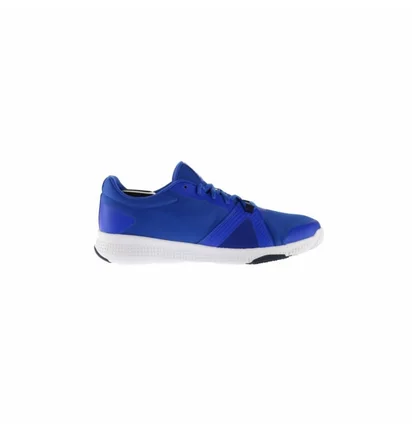 Кросівки чоловічі Reebok Flexile Blue BS8046