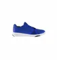 Кросівки чоловічі Reebok Flexile Blue BS8046