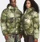 Пуховик унісекс Nike Acg Lunar Lake Puffer Therma-Fit Adv Loose Hooded Jacket Green FB8121-386