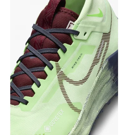 Кроссовки мужские Nike Pegasus Trail 4 Gore-Tex Green DJ7926-303