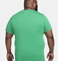 Футболка мужская Nike T-Shirt Court Dri-Fit Green FQ4934-324