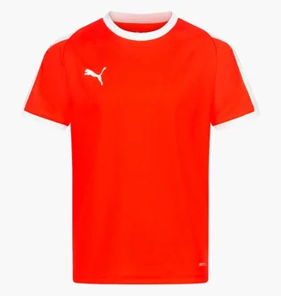 Футболка детская Puma Liga Jersey Red 703418-01