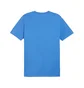 Футболка чоловіча Puma Teamgoal Casuals T-Shirt Blue 658615-02